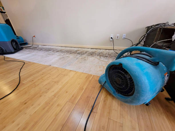 Professional Basement Flood Cleanup technician working in Nottingham, PA